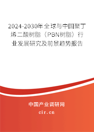 2024-2030年全球與中國聚丁烯二酸樹脂(PBN樹脂)行業(yè)發(fā)展研究及前景趨勢報(bào)告 2024-2030年全球與中國聚丁烯二酸樹脂(PBN樹脂)行業(yè)發(fā)展研究及前景趨勢報(bào)告
