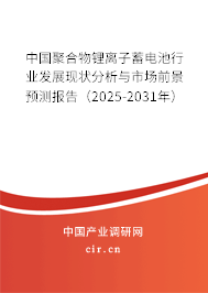 中國聚合物鋰離子蓄電池行業(yè)發(fā)展現(xiàn)狀分析與市場(chǎng)前景預(yù)測(cè)報(bào)告（2025-2031年）