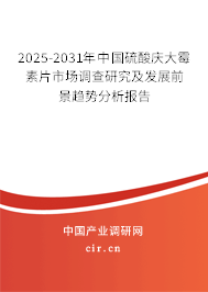 2025-2031年中國硫酸慶大霉素片市場調(diào)查研究及發(fā)展前景趨勢分析報告 2025-2031年中國硫酸慶大霉素片市場調(diào)查研究及發(fā)展前景趨勢分析報告