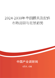 2024-2030年中國模具及配件市場調(diào)研與前景趨勢