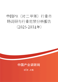 中國PX(對二甲苯)行業(yè)市場調(diào)研與行業(yè)前景分析報告(2025-2031年) 中國PX(對二甲苯)行業(yè)市場調(diào)研與行業(yè)前景分析報告(2025-2031年)