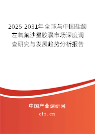 2025-2031年全球與中國鹽酸左氧氟沙星膠囊市場深度調(diào)查研究與發(fā)展趨勢分析報告 2025-2031年全球與中國鹽酸左氧氟沙星膠囊市場深度調(diào)查研究與發(fā)展趨勢分析報告