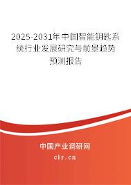 2025-2031年中國智能鑰匙系統(tǒng)行業(yè)發(fā)展研究與前景趨勢預(yù)測報(bào)告