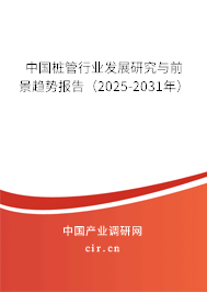 中國樁管行業(yè)發(fā)展研究與前景趨勢報告(2025-2031年) 中國樁管行業(yè)發(fā)展研究與前景趨勢報告(2025-2031年)