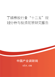丁腈橡膠行業(yè)“十二五”規(guī)劃分析與投資前景研究報(bào)告