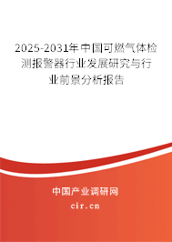 2025-2031年中國可燃氣體檢測報警器行業(yè)發(fā)展研究與行業(yè)前景分析報告