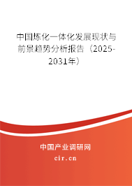 中國煉化一體化發(fā)展現(xiàn)狀與前景趨勢分析報告（2025-2031年）