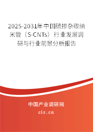2025-2031年中國硫摻雜碳納米管(S-CNTs)行業(yè)發(fā)展調(diào)研與行業(yè)前景分析報告 2025-2031年中國硫摻雜碳納米管(S-CNTs)行業(yè)發(fā)展調(diào)研與行業(yè)前景分析報告