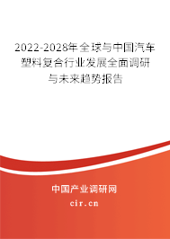 2022-2028年全球與中國(guó)汽車塑料復(fù)合行業(yè)發(fā)展全面調(diào)研與未來趨勢(shì)報(bào)告