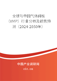 全球與中國氣體閥板(VMP)行業(yè)分析及趨勢預測(2024-2030年) 全球與中國氣體閥板(VMP)行業(yè)分析及趨勢預測(2024-2030年)