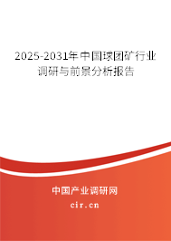 2025-2031年中國球團(tuán)礦行業(yè)調(diào)研與前景分析報告 2025-2031年中國球團(tuán)礦行業(yè)調(diào)研與前景分析報告