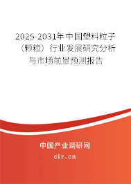 2025-2031年中國塑料粒子(顆粒)行業(yè)發(fā)展研究分析與市場前景預測報告 2025-2031年中國塑料粒子(顆粒)行業(yè)發(fā)展研究分析與市場前景預測報告