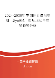 2024-2030年中國同步磁阻電機(jī)（SynRM）市場現(xiàn)狀與前景趨勢分析