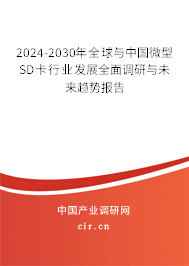 2024-2030年全球與中國微型SD卡行業(yè)發(fā)展全面調(diào)研與未來趨勢報告