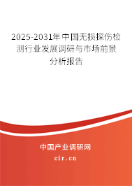 2025-2031年中國(guó)無(wú)損探傷檢測(cè)行業(yè)發(fā)展調(diào)研與市場(chǎng)前景分析報(bào)告 2025-2031年中國(guó)無(wú)損探傷檢測(cè)行業(yè)發(fā)展調(diào)研與市場(chǎng)前景分析報(bào)告