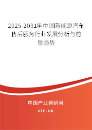 2025-2031年中國新能源汽車售后服務行業(yè)發(fā)展分析與前景趨勢 2025-2031年中國新能源汽車售后服務行業(yè)發(fā)展分析與前景趨勢