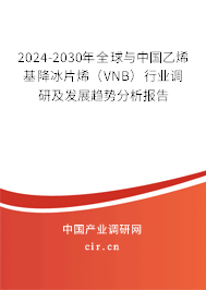 2024-2030年全球與中國乙烯基降冰片烯（VNB）行業(yè)調(diào)研及發(fā)展趨勢分析報告
