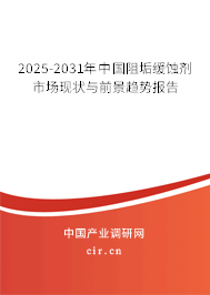 2025-2031年中國阻垢緩蝕劑市場現(xiàn)狀與前景趨勢報告 2025-2031年中國阻垢緩蝕劑市場現(xiàn)狀與前景趨勢報告