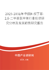 2025-2031年中國4-叔丁基-2,6-二甲基氯甲苯行業(yè)現(xiàn)狀研究分析及發(fā)展趨勢研究報(bào)告