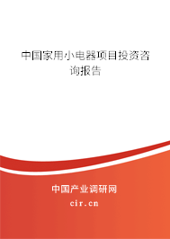 中國家用小電器項目投資咨詢報告 中國家用小電器項目投資咨詢報告