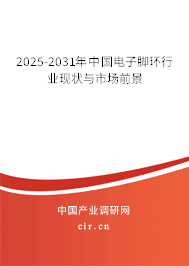 2025-2031年中國電子腳環(huán)行業(yè)現(xiàn)狀與市場前景