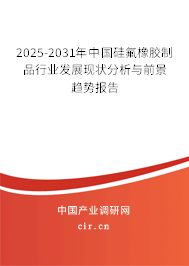 2025-2031年中國硅氟橡膠制品行業(yè)發(fā)展現(xiàn)狀分析與前景趨勢報告