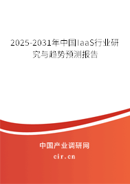 2025-2031年中國IaaS行業(yè)研究與趨勢預測報告 2025-2031年中國IaaS行業(yè)研究與趨勢預測報告