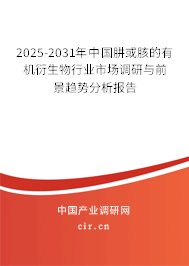 2025-2031年中國肼或胲的有機衍生物行業(yè)市場調(diào)研與前景趨勢分析報告 2025-2031年中國肼或胲的有機衍生物行業(yè)市場調(diào)研與前景趨勢分析報告