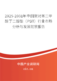 2025-2031年中國聚對苯二甲酸丁二醇酯（PBT）行業(yè)市場分析與發(fā)展前景報告