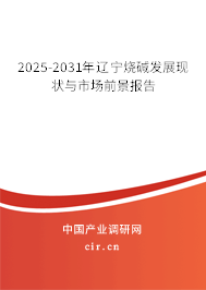 2025-2031年遼寧燒堿發(fā)展現(xiàn)狀與市場前景報(bào)告 2025-2031年遼寧燒堿發(fā)展現(xiàn)狀與市場前景報(bào)告