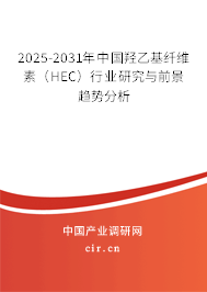 2025-2031年中國(guó)羥乙基纖維素（HEC）行業(yè)研究與前景趨勢(shì)分析