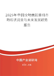 2025年中國(guó)全地面起重機(jī)市場(chǎng)現(xiàn)狀調(diào)查與未來發(fā)展趨勢(shì)報(bào)告 2025年中國(guó)全地面起重機(jī)市場(chǎng)現(xiàn)狀調(diào)查與未來發(fā)展趨勢(shì)報(bào)告