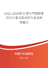 2022-2028年全球與中國職業(yè)培訓(xùn)行業(yè)深度調(diào)研與發(fā)展趨勢報告
