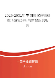 2025-2031年中國(guó)氮化硼微粉市場(chǎng)研究分析與前景趨勢(shì)報(bào)告