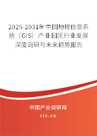 2025-2031年中國(guó)地理信息系統(tǒng)（GIS）產(chǎn)業(yè)園區(qū)行業(yè)發(fā)展深度調(diào)研與未來趨勢(shì)報(bào)告