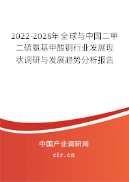 2022-2028年全球與中國二甲二硫氨基甲酸銅行業(yè)發(fā)展現狀調研與發(fā)展趨勢分析報告