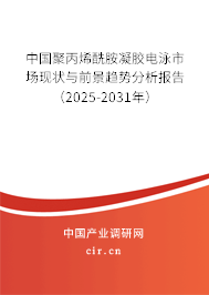 中國聚丙烯酰胺凝膠電泳市場現(xiàn)狀與前景趨勢分析報告(2025-2031年) 中國聚丙烯酰胺凝膠電泳市場現(xiàn)狀與前景趨勢分析報告(2025-2031年)