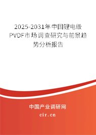 2025-2031年中國(guó)鋰電級(jí)PVDF市場(chǎng)調(diào)查研究與前景趨勢(shì)分析報(bào)告 2025-2031年中國(guó)鋰電級(jí)PVDF市場(chǎng)調(diào)查研究與前景趨勢(shì)分析報(bào)告
