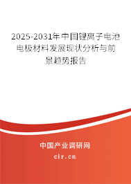 2025-2031年中國(guó)鋰離子電池電極材料發(fā)展現(xiàn)狀分析與前景趨勢(shì)報(bào)告