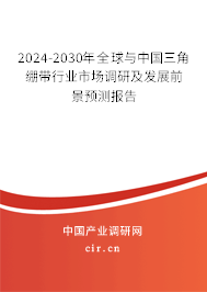 2024-2030年全球與中國三角繃帶行業(yè)市場調(diào)研及發(fā)展前景預測報告