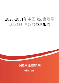 2025-2031年中國橡皮膏發(fā)展現(xiàn)狀分析與趨勢預(yù)測報告