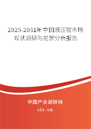 2025-2031年中國(guó)液壓鉗市場(chǎng)現(xiàn)狀調(diào)研與前景分析報(bào)告 2025-2031年中國(guó)液壓鉗市場(chǎng)現(xiàn)狀調(diào)研與前景分析報(bào)告