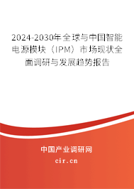 2024-2030年全球與中國智能電源模塊(IPM)市場現(xiàn)狀全面調(diào)研與發(fā)展趨勢報告 2024-2030年全球與中國智能電源模塊(IPM)市場現(xiàn)狀全面調(diào)研與發(fā)展趨勢報告
