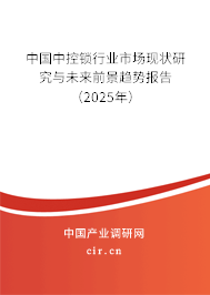 中國中控鎖行業(yè)市場現(xiàn)狀研究與未來前景趨勢報告(2025年) 中國中控鎖行業(yè)市場現(xiàn)狀研究與未來前景趨勢報告(2025年)
