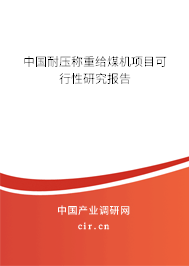 中國耐壓稱重給煤機項目可行性研究報告 中國耐壓稱重給煤機項目可行性研究報告