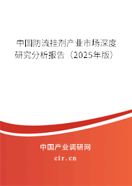 中國防流掛劑產(chǎn)業(yè)市場深度研究分析報告(2025年版) 中國防流掛劑產(chǎn)業(yè)市場深度研究分析報告(2025年版)