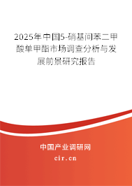 2025年中國5-硝基間苯二甲酸單甲酯市場調(diào)查分析與發(fā)展前景研究報告 2025年中國5-硝基間苯二甲酸單甲酯市場調(diào)查分析與發(fā)展前景研究報告