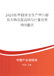 2025版中國安全生產(chǎn)中介服務(wù)市場深度調(diào)研與行業(yè)前景預(yù)測報告
