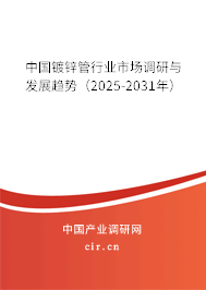 中國鍍鋅管行業(yè)市場調(diào)研與發(fā)展趨勢(2025-2031年) 中國鍍鋅管行業(yè)市場調(diào)研與發(fā)展趨勢(2025-2031年)