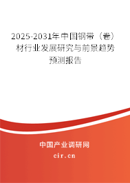 2025-2031年中國鋼帶（卷）材行業(yè)發(fā)展研究與前景趨勢預測報告